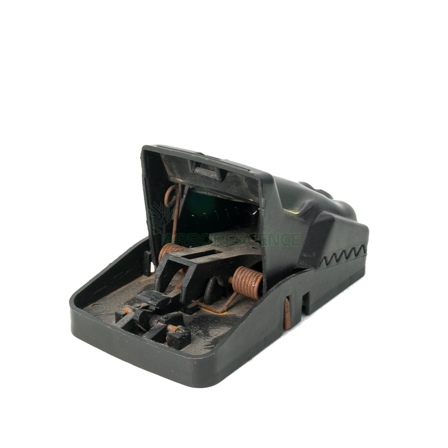 tapette-souris-plastique-38-15